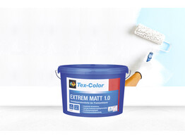 MUURVERF TEX COLOR WIT 12.5L
